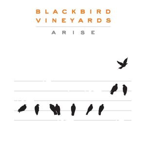 2018 Blackbird Vineyards Arise