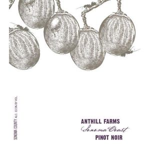 2021 Anthill Farms Sonoma Coast Pinot Noir