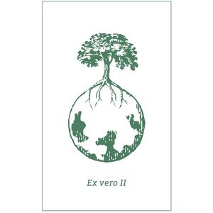 2018 Weingut Werlitsch Ex Vero II