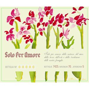 2020 Sori della Sorba Langhe Rosso Solo Per Amore