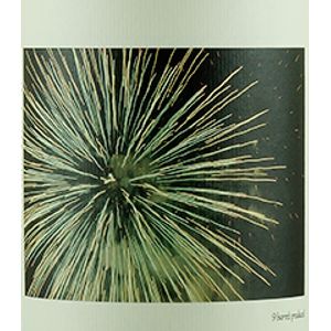 2020 Chanin Bien Nacido Vineyard Chardonnay