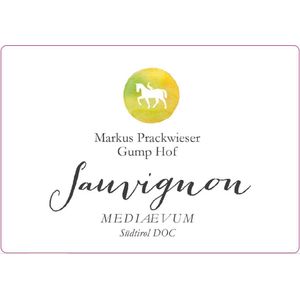 2021 Gumphof Mediaevum Sauvignon