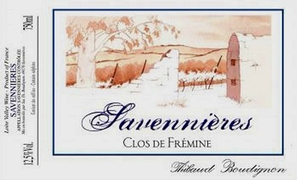 2020 Thibaud Boudignon Savennières Clos de Frémine