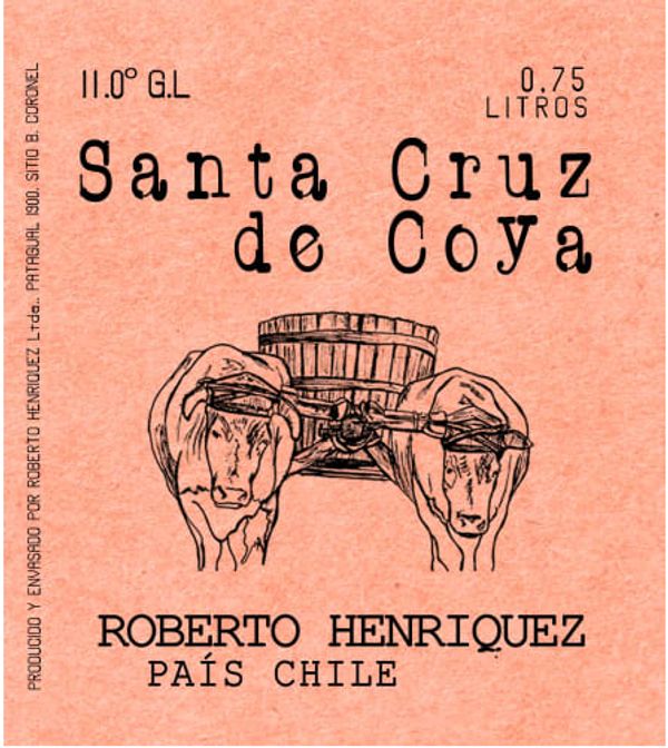 2020 Roberto Henriquez Bío Bío Valley Santa Cruz de Coya Pais