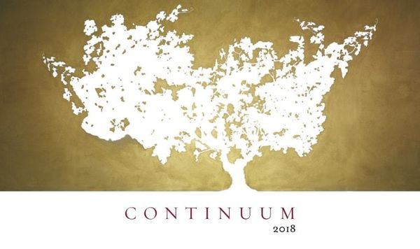 2019 Continuum