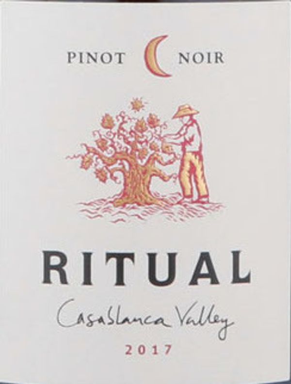 2019 Ritual Pinot Noir