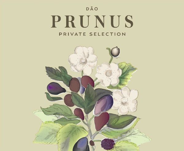 2020 Gota Prunus Private Selection Tinto