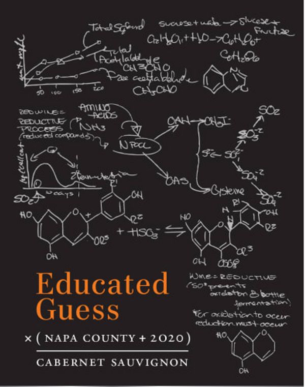 2020 Educated Guess Napa County Cabernet Sauvignon