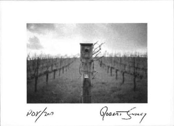 2017 Robert Sinskey Vineyards POV
