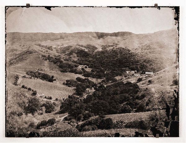 2021 Sandhi Wines White Buffalo Pinot Noir