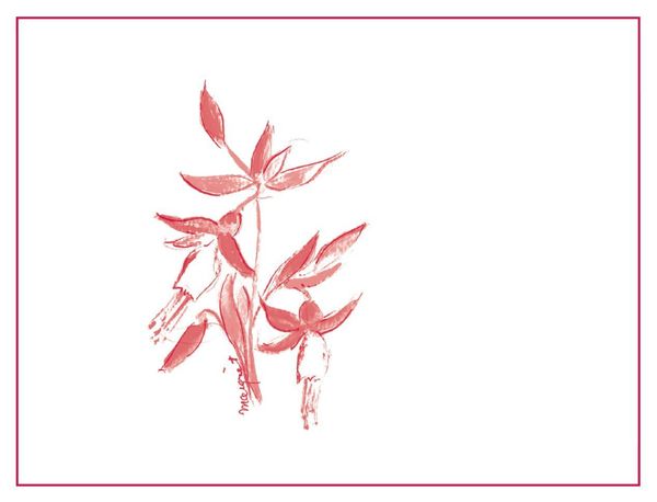 2021 Arnot-Roberts Peter Martin Ray Vineyard Pinot Noir