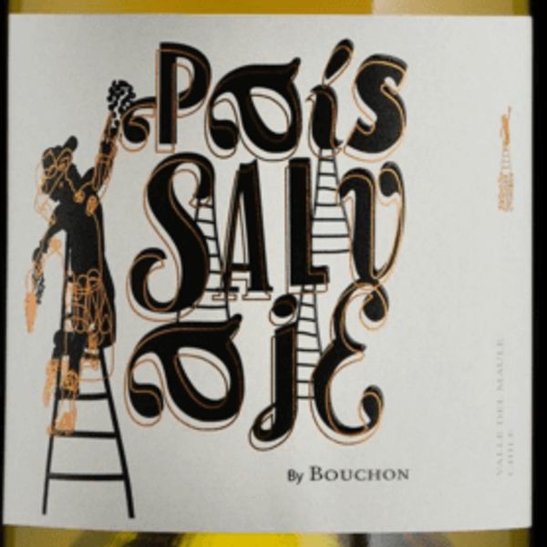 2019 J. Bouchon País Salvaje Blanco