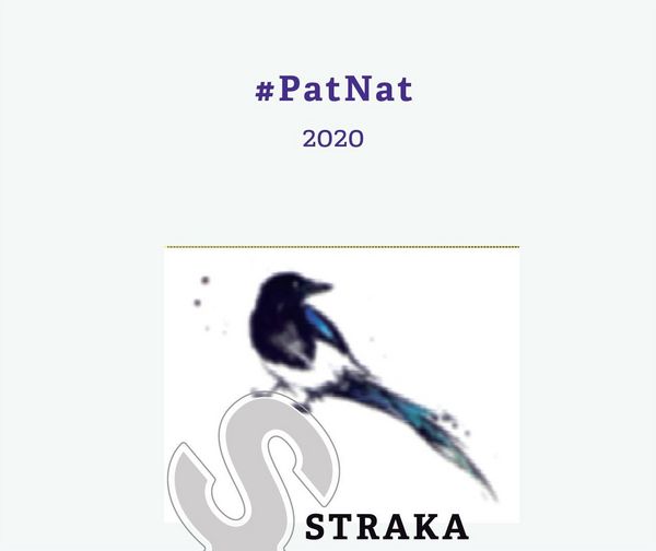 2020 Straka Welschriesling Pet Nat