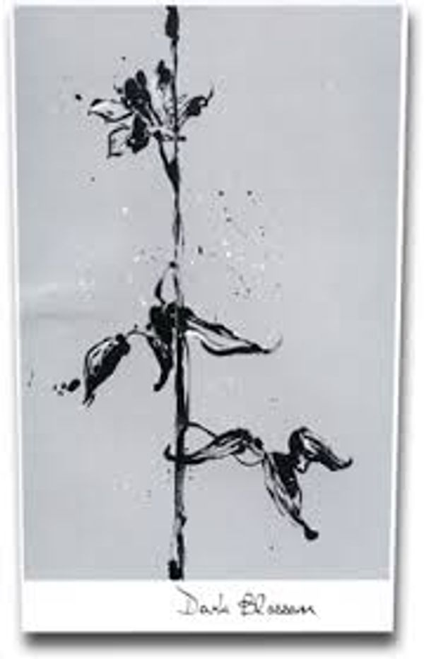 2011 Sine Qua Non Dark Blossom Grenache