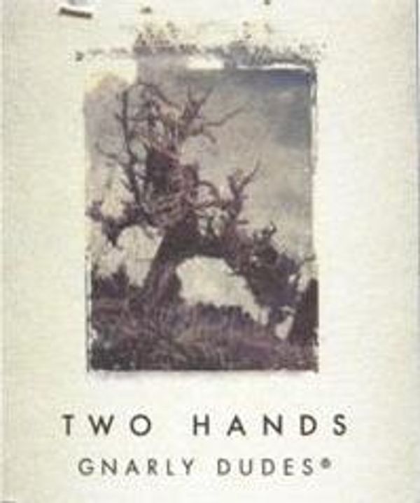 2020 Two Hands Gnarly Dudes Shiraz