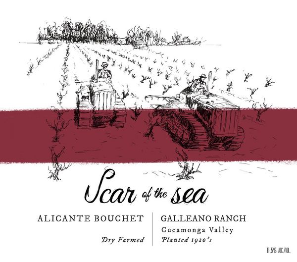 2021 Scar of the Sea Galleano Vineyard Alicante Bouschet