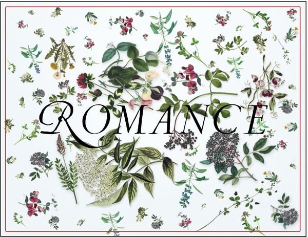 2020 Sandhi Wines Romance Pinot Noir