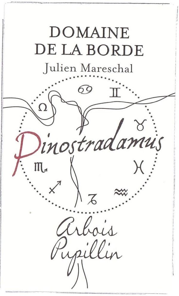 2020 Domaine de la Borde Pinostradamus