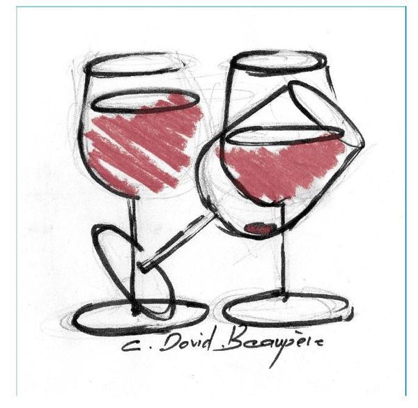 2019 Domaine David-Beaupère Juliénas Les Trois Verres