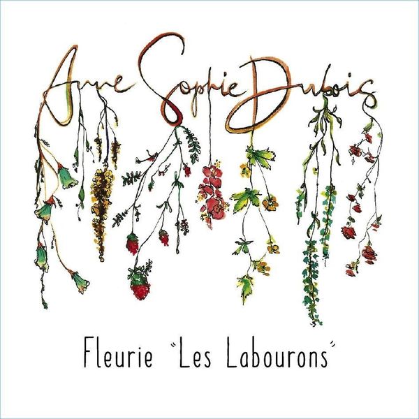 2020 Anne-Sophie Dubois Fleurie Les Labourons