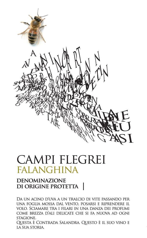 2018 Contrada Salandra Falanghina