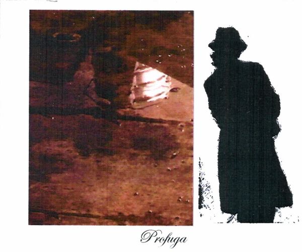 2018 Sine Qua Non Profuga Grenache