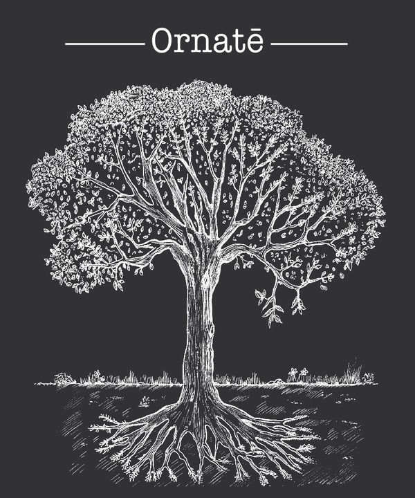 2019 Domaine de Belle Vue Ornaté