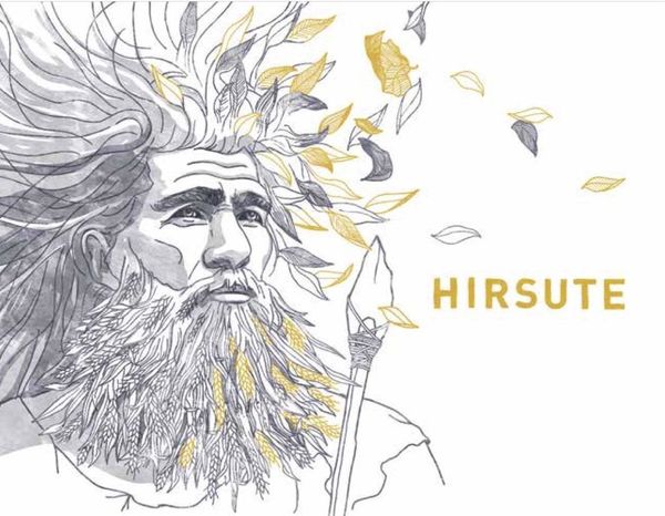 2021 Les Equilibristes Hirsute Blanc