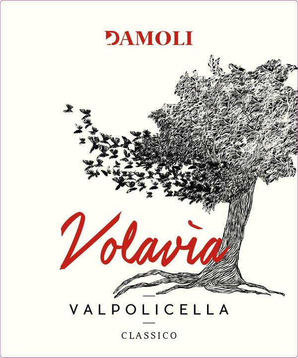 2020 Damoli Valpolicella Classico Volavia