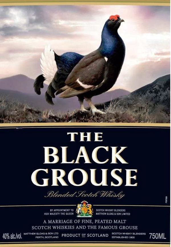 The Black Grouse Blended Scotch Whisky