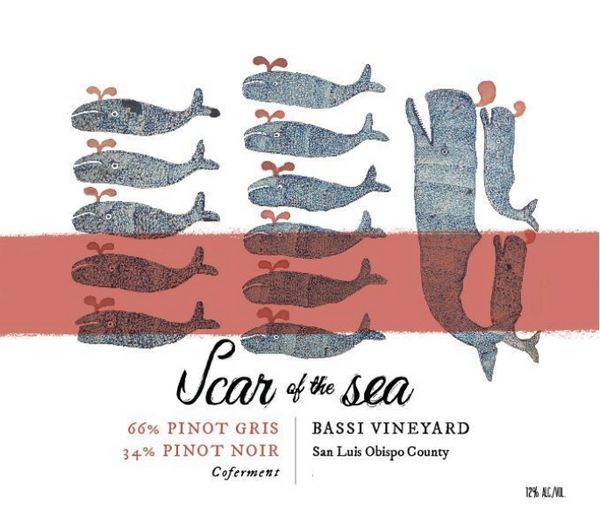 2022 Scar of the Sea Bassi Vineyard Pinot Gris & Pinot Noir Coferment