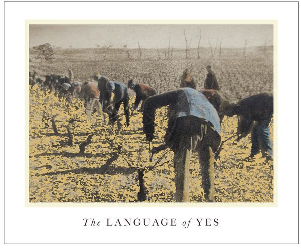 2020 The Language of Yes En Passerillage Grenache
