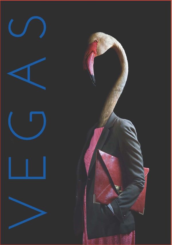 2020 Avelino Vegas N° 40 Rosado