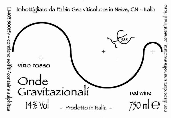 2019 Fabio Gea Onde Gravitazionali