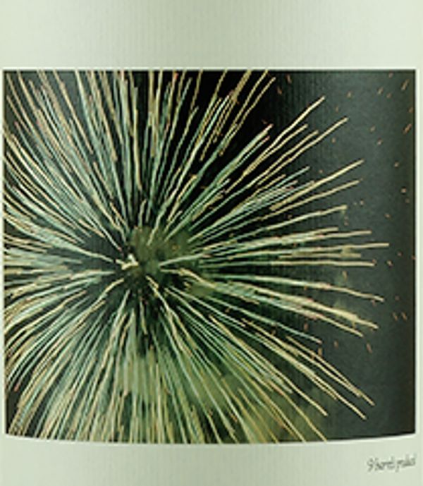 2020 Chanin Bien Nacido Vineyard Chardonnay